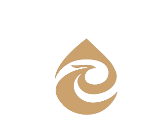 Xiamen Roll Technology Co., Ltd.